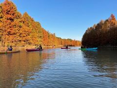 -上海海湾国家森林公园