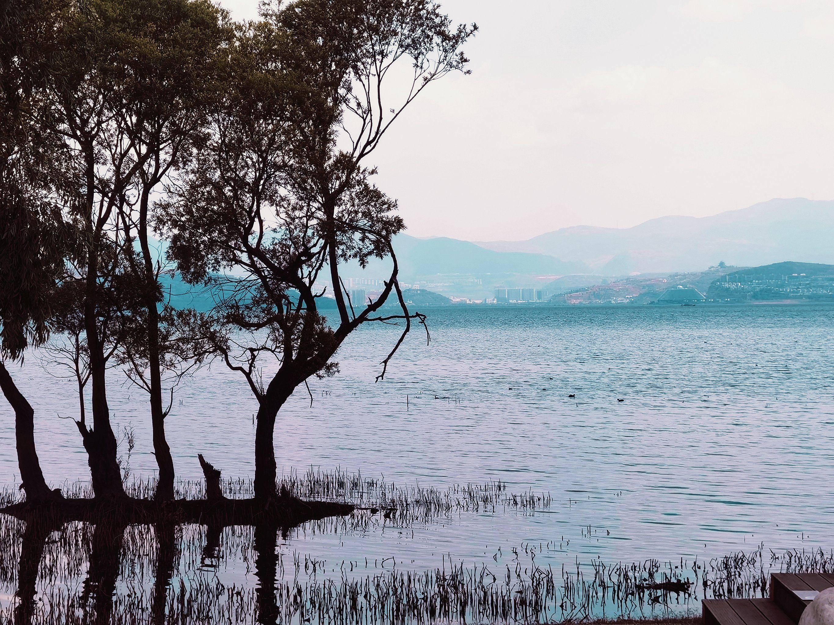 大理洱海生态长廊