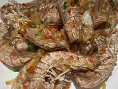 -开海·红岛海鲜虾水饺(石老人店)