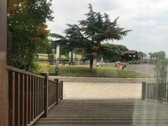 -新木器时代餐厅(太湖新天地店)