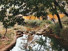 -白马涧龙池景区