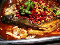 -龙门烤鱼(东方宝泰店)
