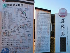 -莲花岛景区