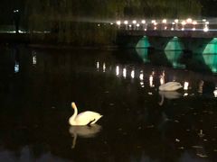 -银树楼(紫玉山庄东区店)