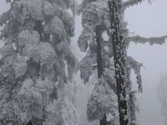 -瓦屋山景区