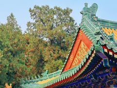 -宫事颐庭·老佛爷贵寿下午茶(颐和园店)