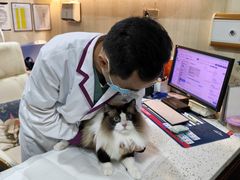 -宠爱国际动物医院·消化内科·心肾内科·ISFM猫友好(望京店)