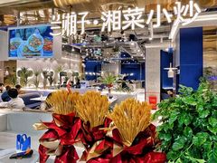 -兰湘子·湘菜小炒(崂山丽达店)