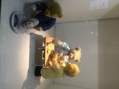 泰迪熊博物馆-成都泰迪熊博物馆