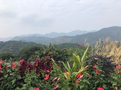 -广州市石门国家森林公园