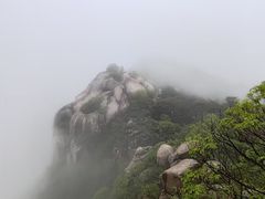 -鲁山国家森林公园