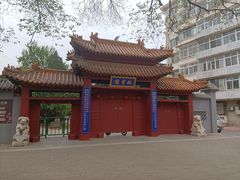 -桃花堤公园