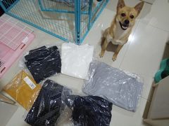 -优衣库(温州财富购物中心店)