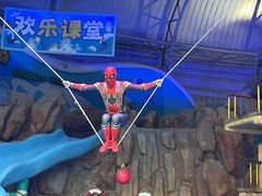 -烟台海昌鲸鲨海洋公园