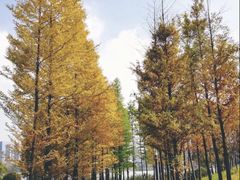 -重庆彩云湖湿地公园