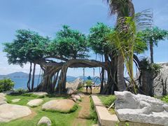 -海南分界洲岛旅游区