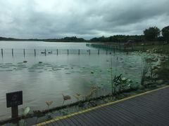 -东滩湿地公园观海楼餐厅