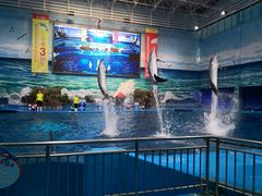 -多彩贵州城极地海洋世界