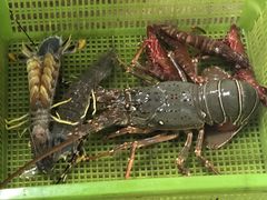 -班赞海鲜市场