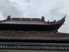 -紫竹林