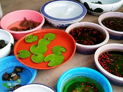 -九龙里集市(六安里店)