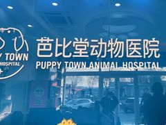 -芭比堂动物医院·CT·微创中心(新顺分院)