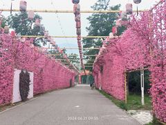 -北京凤凰岭