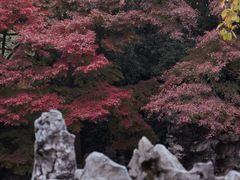 -何园