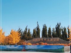 -永定河休闲森林公园