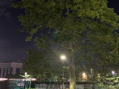 -番禺广场(市桥街道)