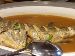 -今鲜源大酒店·中华餐饮名店(新湛路店)