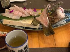 黑鲷鱼-新鲜屋(海德二道店)