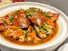 -紫阳富豪大酒店(惠南店)