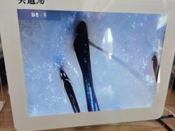 -头道汤头疗养生馆