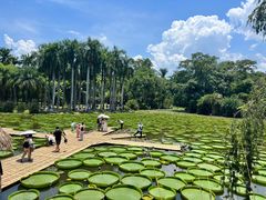 -中国科学院西双版纳热带植物园