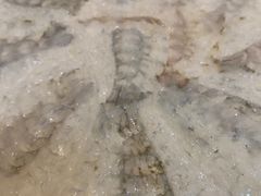 -官塘陈记鱼生·潮汕砂锅粥·牛肉火锅(潮枫路总店)