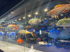 -国家自然博物馆