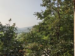-大连北马山庄
