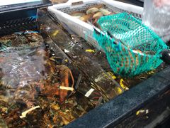-盒马鲜生(曜一城店)