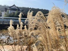 -南京市无想山景区