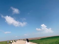 -南汇嘴观海公园