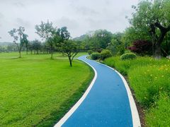 -宜兴龙背山森林公园
