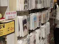 -猫咪博物馆(顶澳仔猫街店)