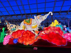 -南宫五洲植物乐园