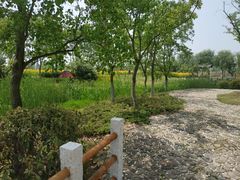 -尚贤河湿地