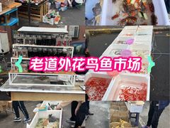 -哈尔滨道外花鸟鱼市场