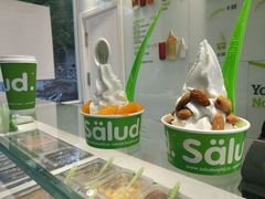 -Salud撒露欧洲冻酸奶(798艺术区店)