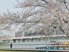 -蠡湖大桥公园