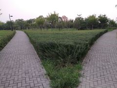 -洨河生态公园