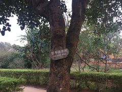 -涠洲岛-圣母堂